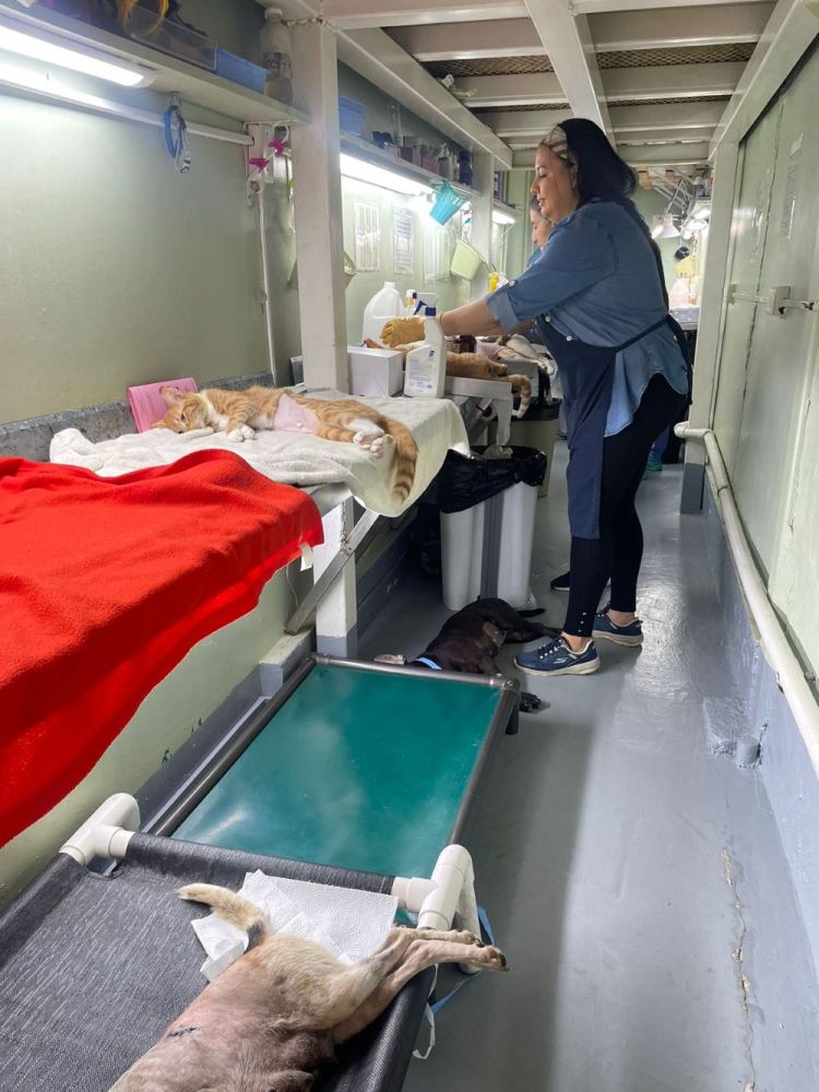 EsterilizaciÃ³n 2