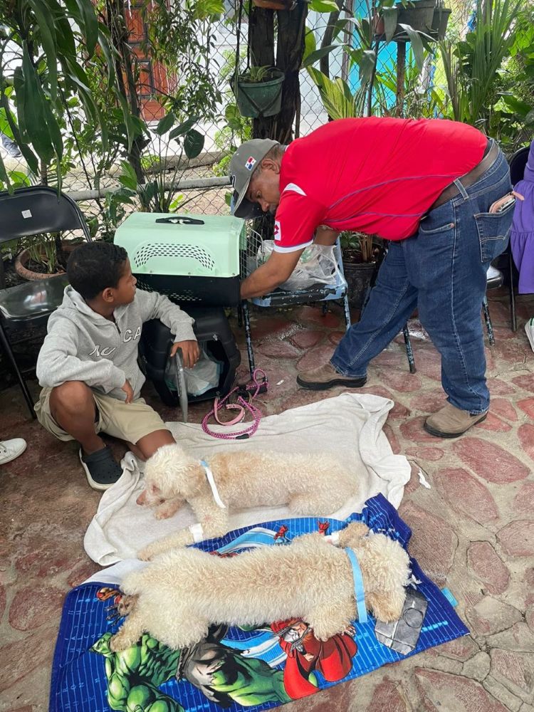 EsterilizaciÃ³n 2