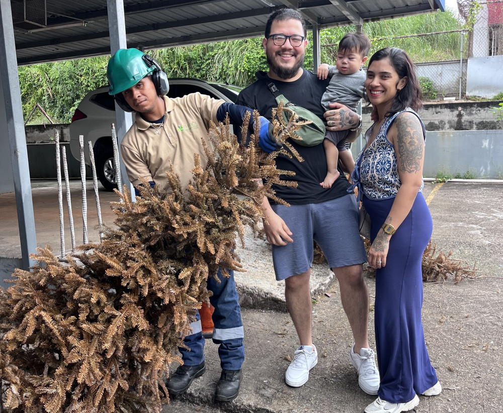 TrituraciÃ³n de Arbolitos 2025