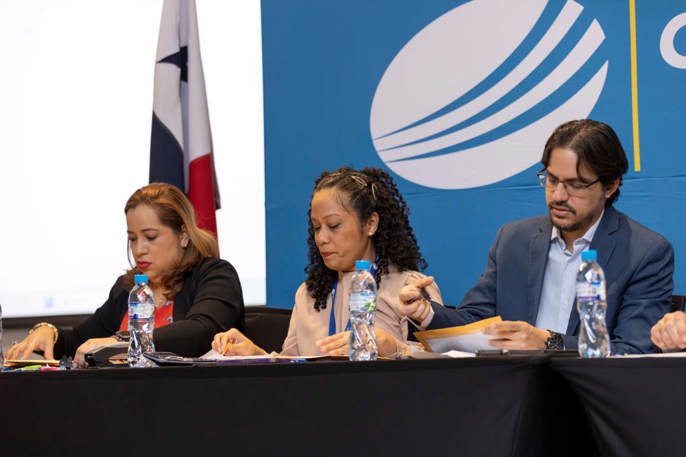 LicitaciÃ³n