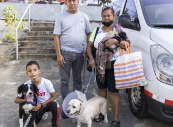 jornada-esterilizacion-mascotas