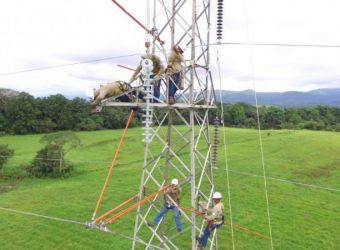 los-antecedentes-etesa-su-transformacion-su-proyeccion-en-el-mercado-electrico