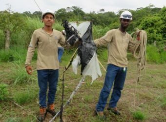 equipo-zona-1-realiza-trabajos-remocion-una-cometa