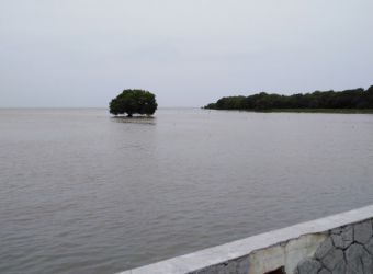 comportamiento-las-lluvias-estimadas-para-los-mes