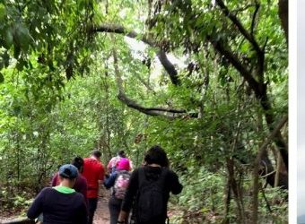 colaboradores-etesa-conmemoran-el-dia-los-parques
